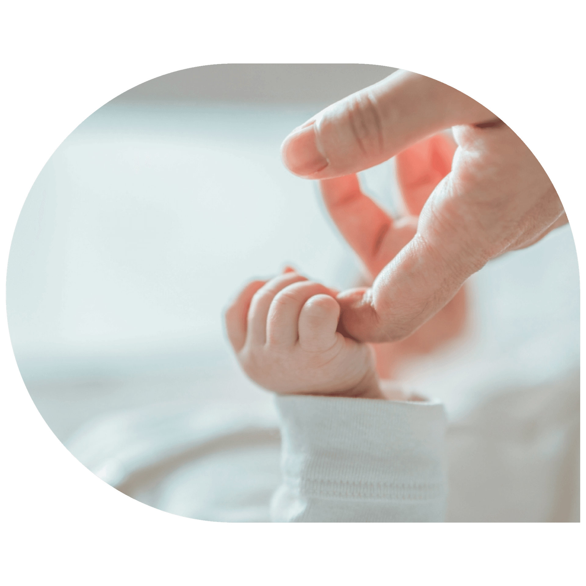 Descripción de la imagen